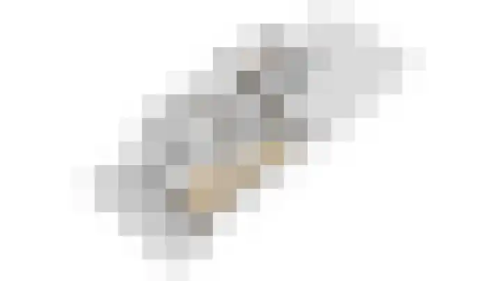 van der Leeuwstraat 9 Rosmalen thumbnail 48