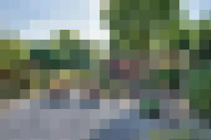 van der Leeuwstraat 9 Rosmalen thumbnail 5