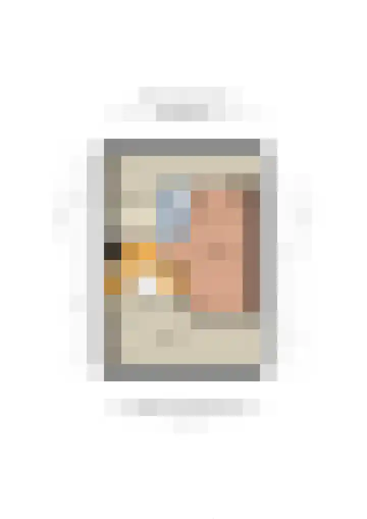 van der Leeuwstraat 9 Rosmalen thumbnail 55