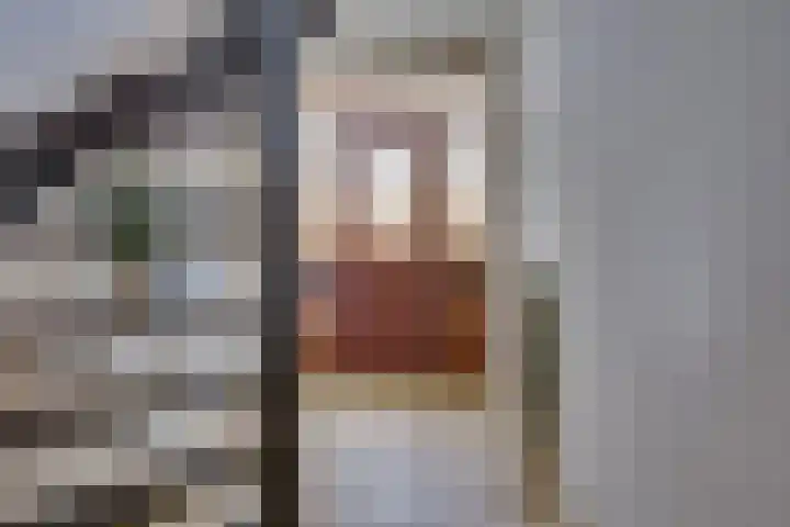van der Leeuwstraat 9 Rosmalen thumbnail 7