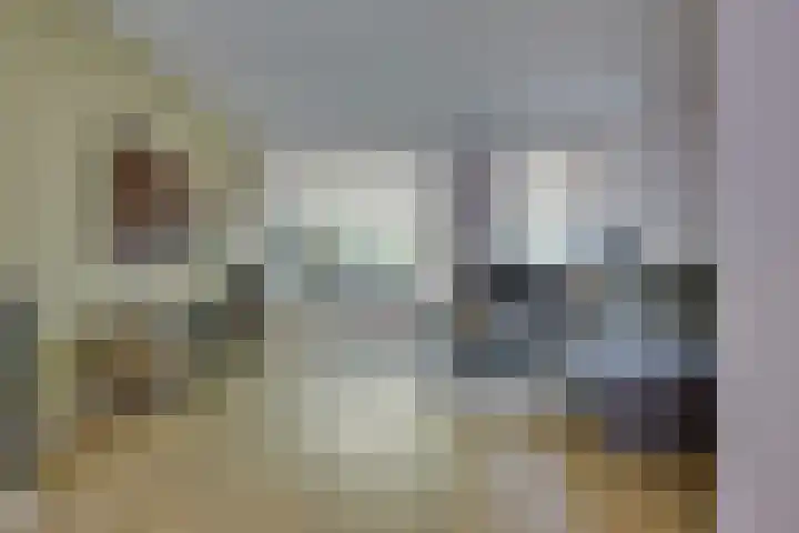 van der Leeuwstraat 9 Rosmalen thumbnail 8