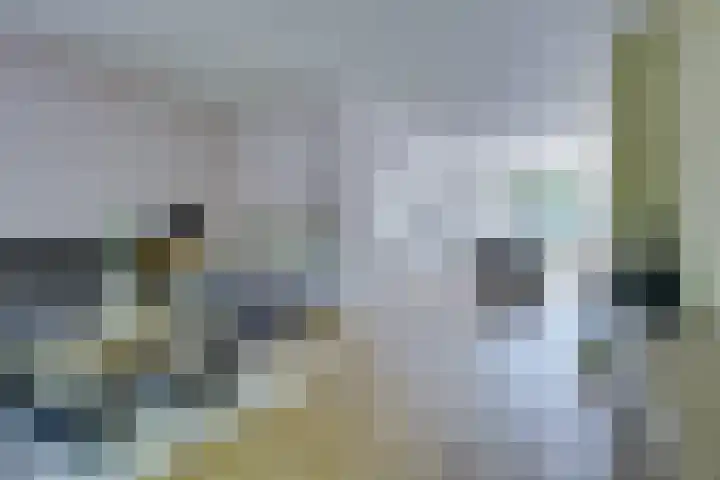 van der Leeuwstraat 9 Rosmalen thumbnail 9