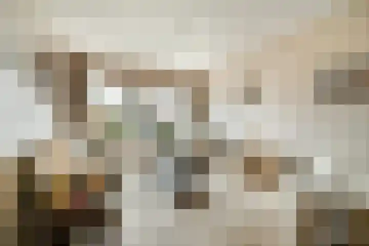 Van der Lekstraat 33 Hendrik-Ido-Ambacht thumbnail 5
