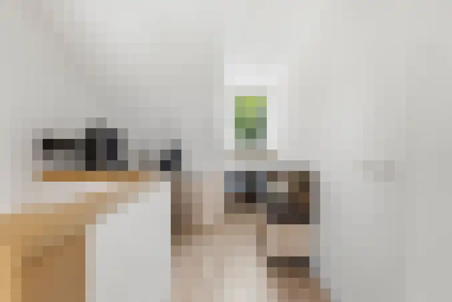 Van der Lekstraat 59 Hendrik-Ido-Ambacht thumbnail 22