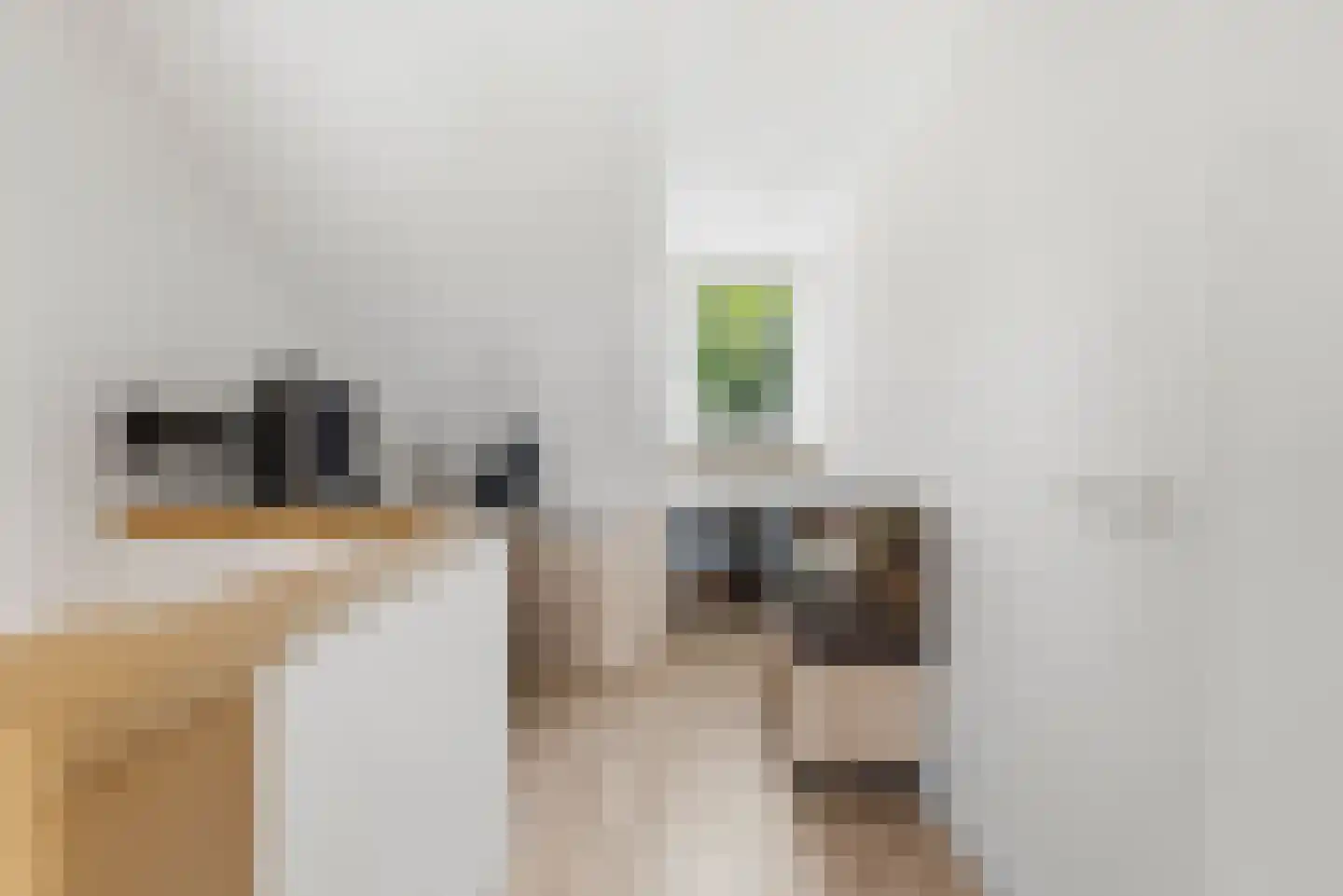 Van der Lekstraat 59 Hendrik-Ido-Ambacht thumbnail 22