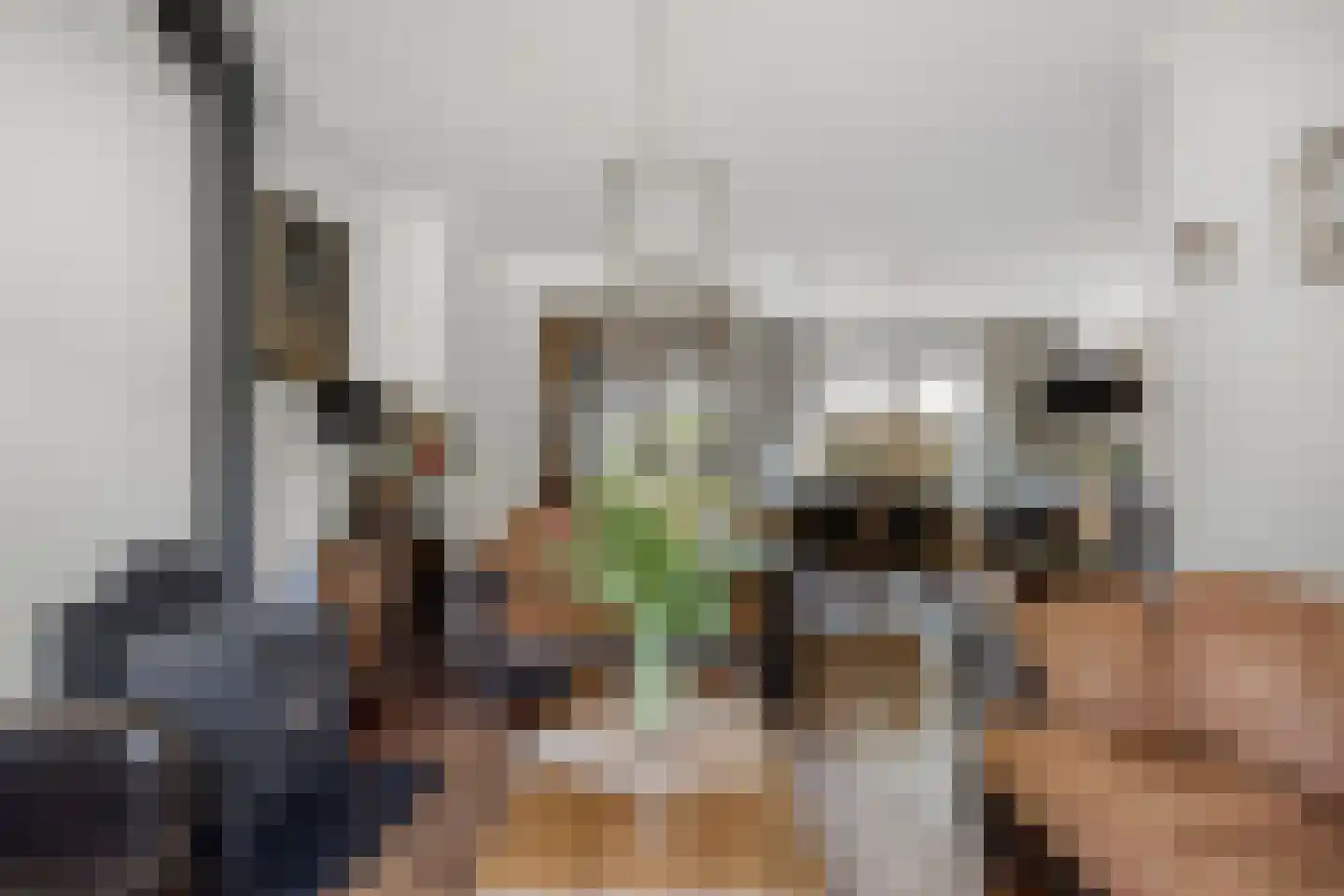 Van der Lekstraat 65 Hendrik-Ido-Ambacht thumbnail 5