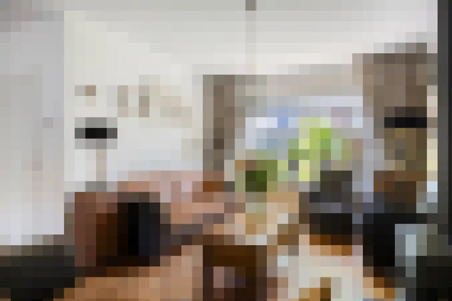 Van der Lekstraat 65 Hendrik-Ido-Ambacht thumbnail 6