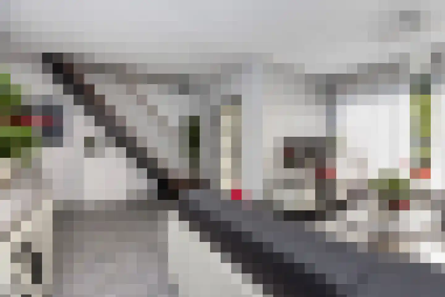 Van der Lekstraat 87 Hendrik-Ido-Ambacht thumbnail 12