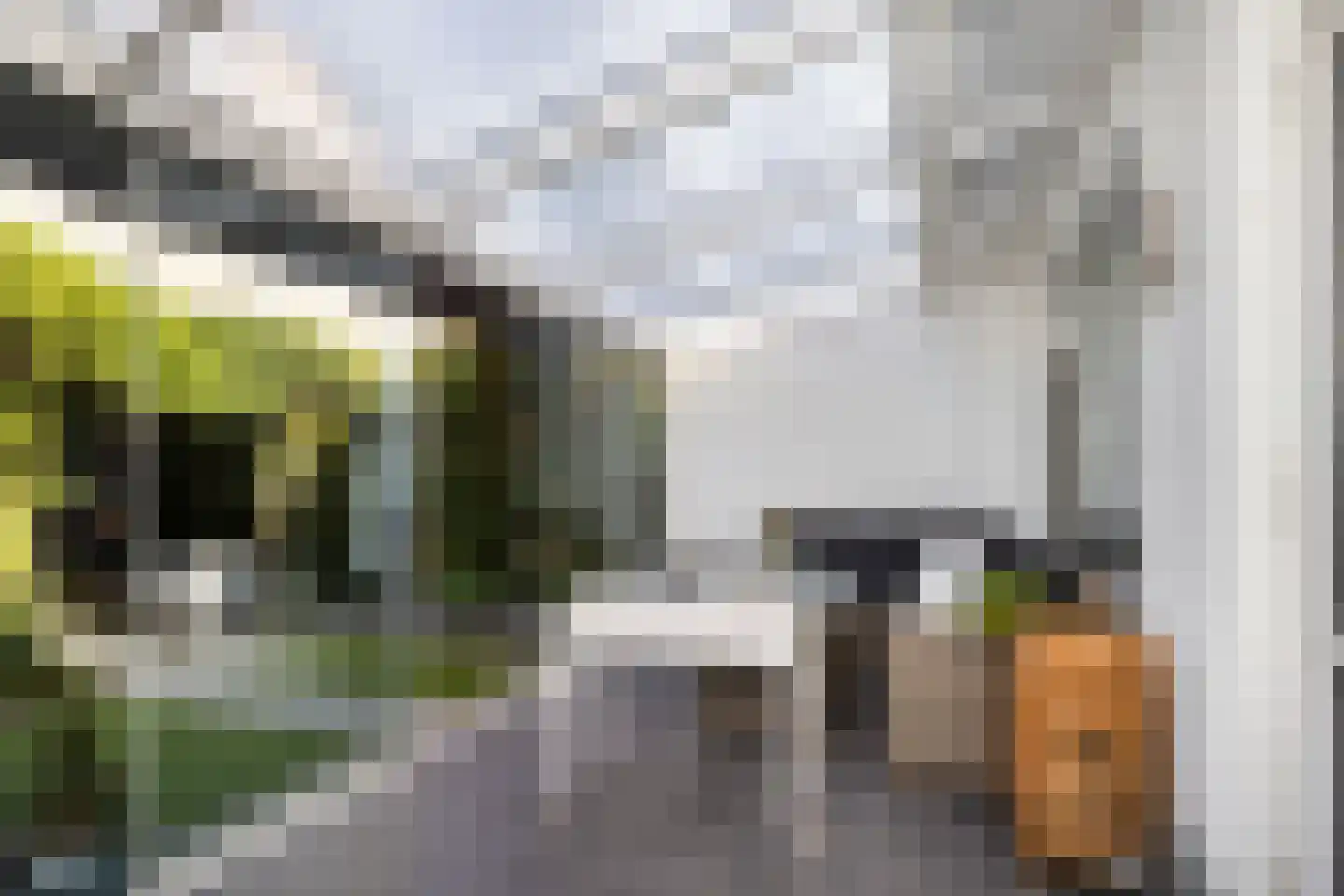 Van der Lekstraat 87 Hendrik-Ido-Ambacht thumbnail 16