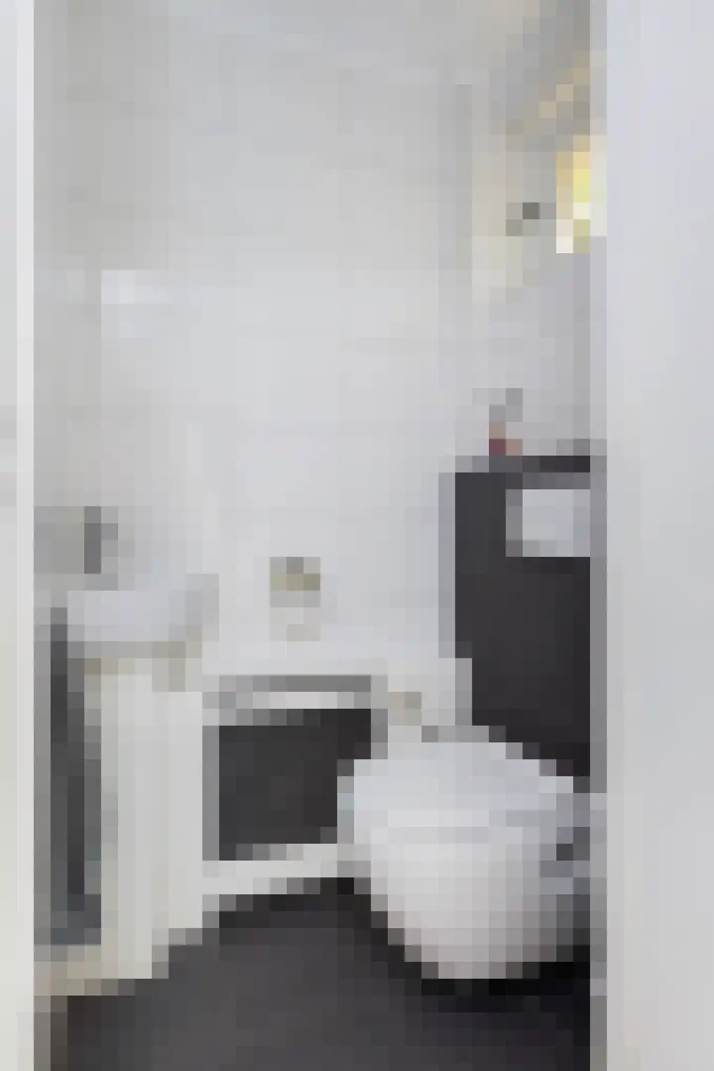 Van der Lekstraat 87 Hendrik-Ido-Ambacht thumbnail 5