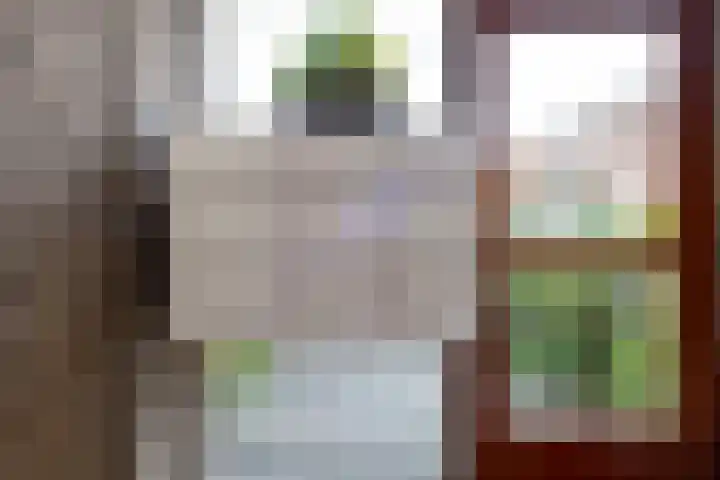 Van der Lelijstraat 11 III Delft thumbnail 30