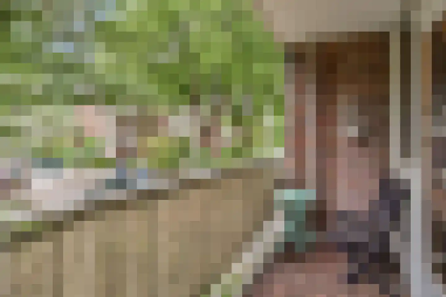 Van der Lelijstraat 17 Delft thumbnail 5