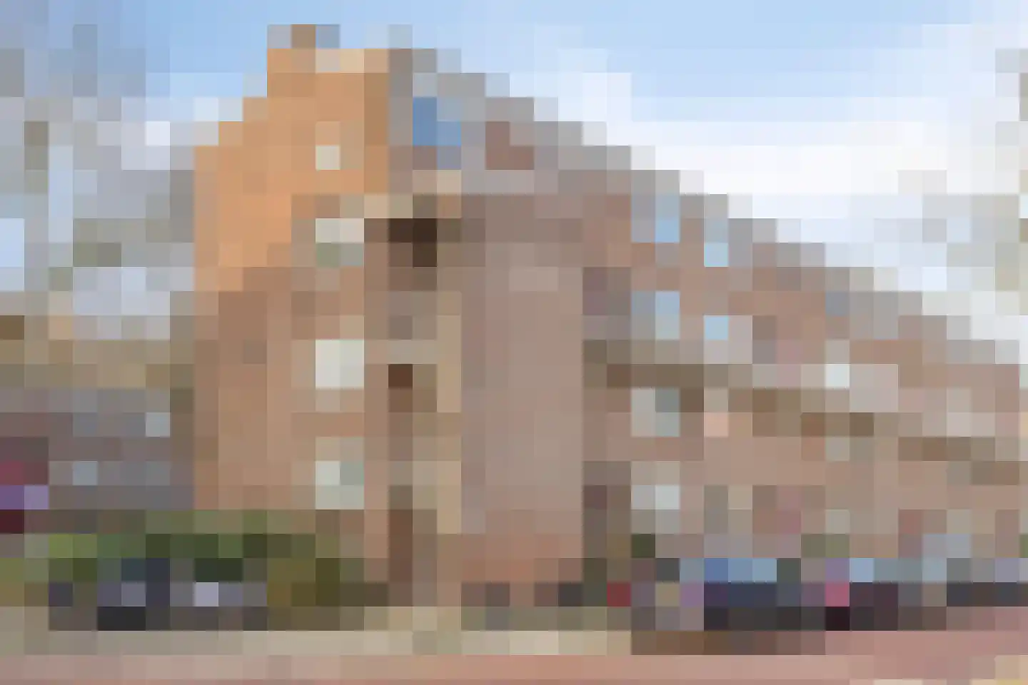 Van der Lelijstraat 21 I Delft thumbnail 21
