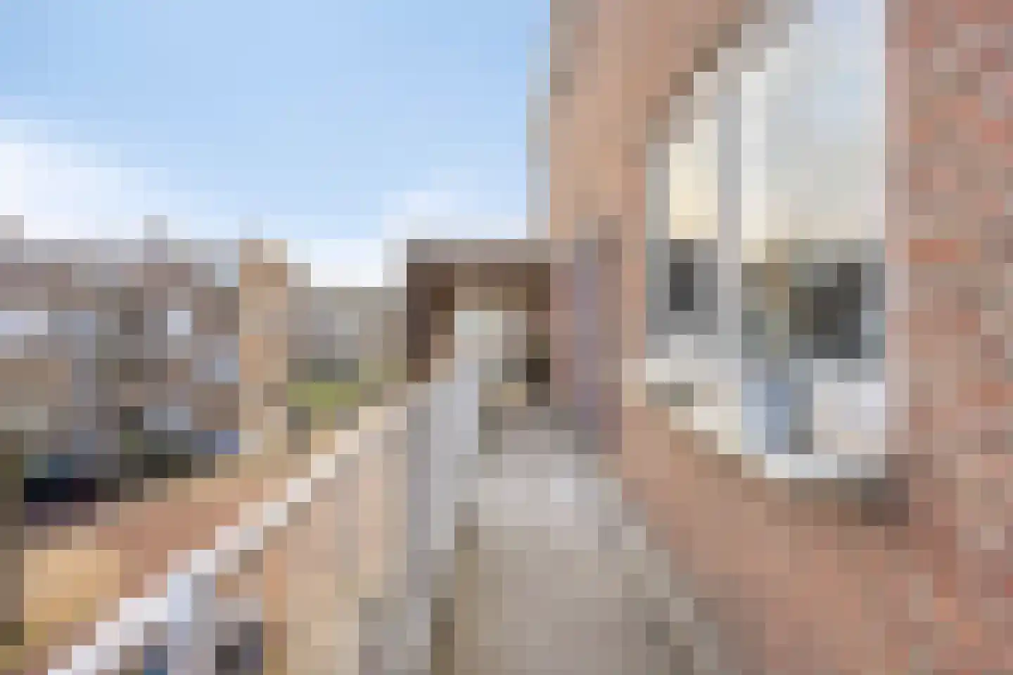 Van der Lelijstraat 21 I Delft thumbnail 24