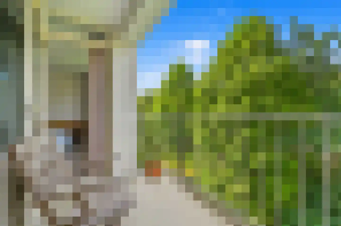 Van der Lelijstraat 39 I Delft thumbnail 22