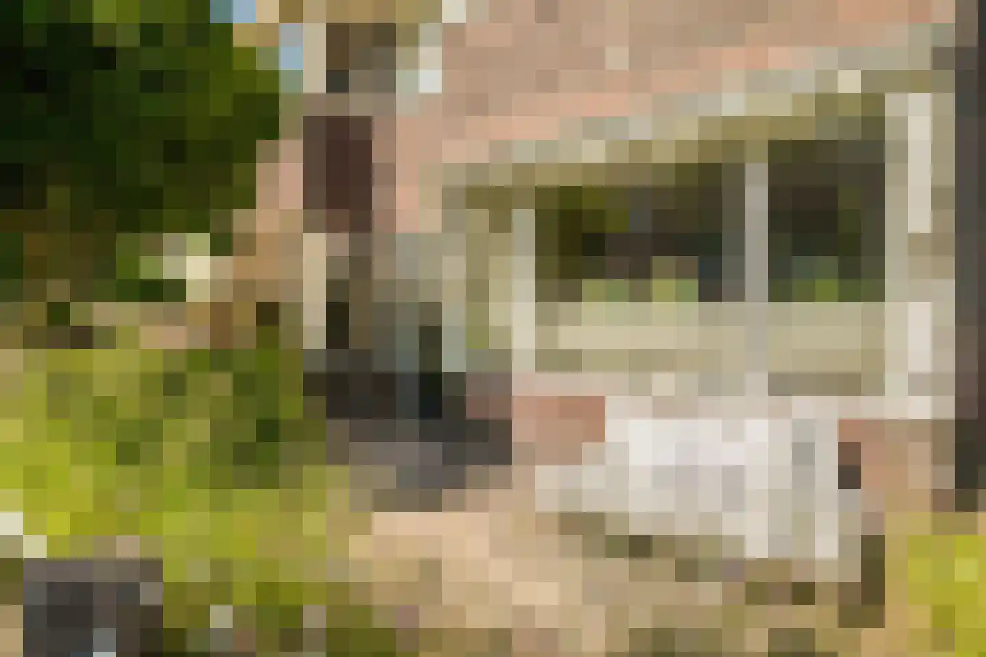 Van der Lijnstraat 20 Alkmaar thumbnail 32