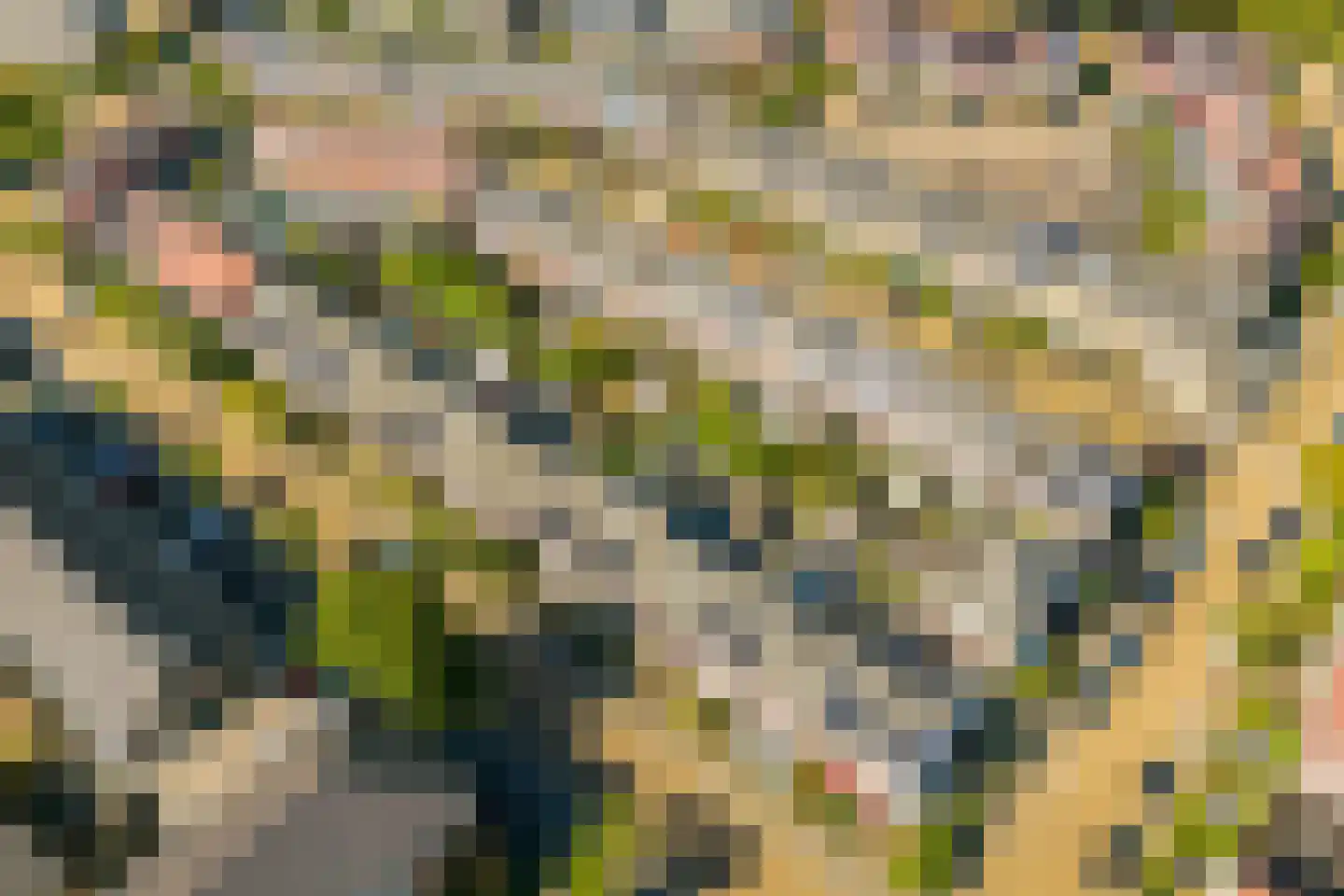 Van der Lijnstraat 20 Alkmaar thumbnail 36