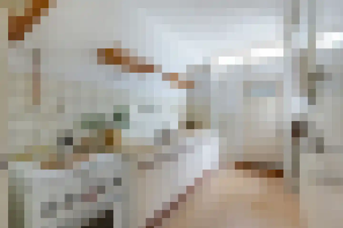 Van der Lijnstraat 3 Alkmaar thumbnail 13
