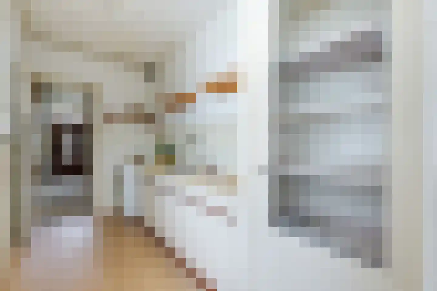 Van der Lijnstraat 3 Alkmaar thumbnail 14