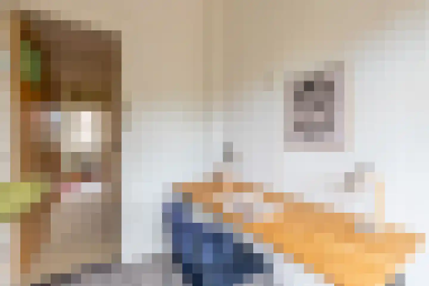 Van der Lijnstraat 3 Alkmaar thumbnail 34