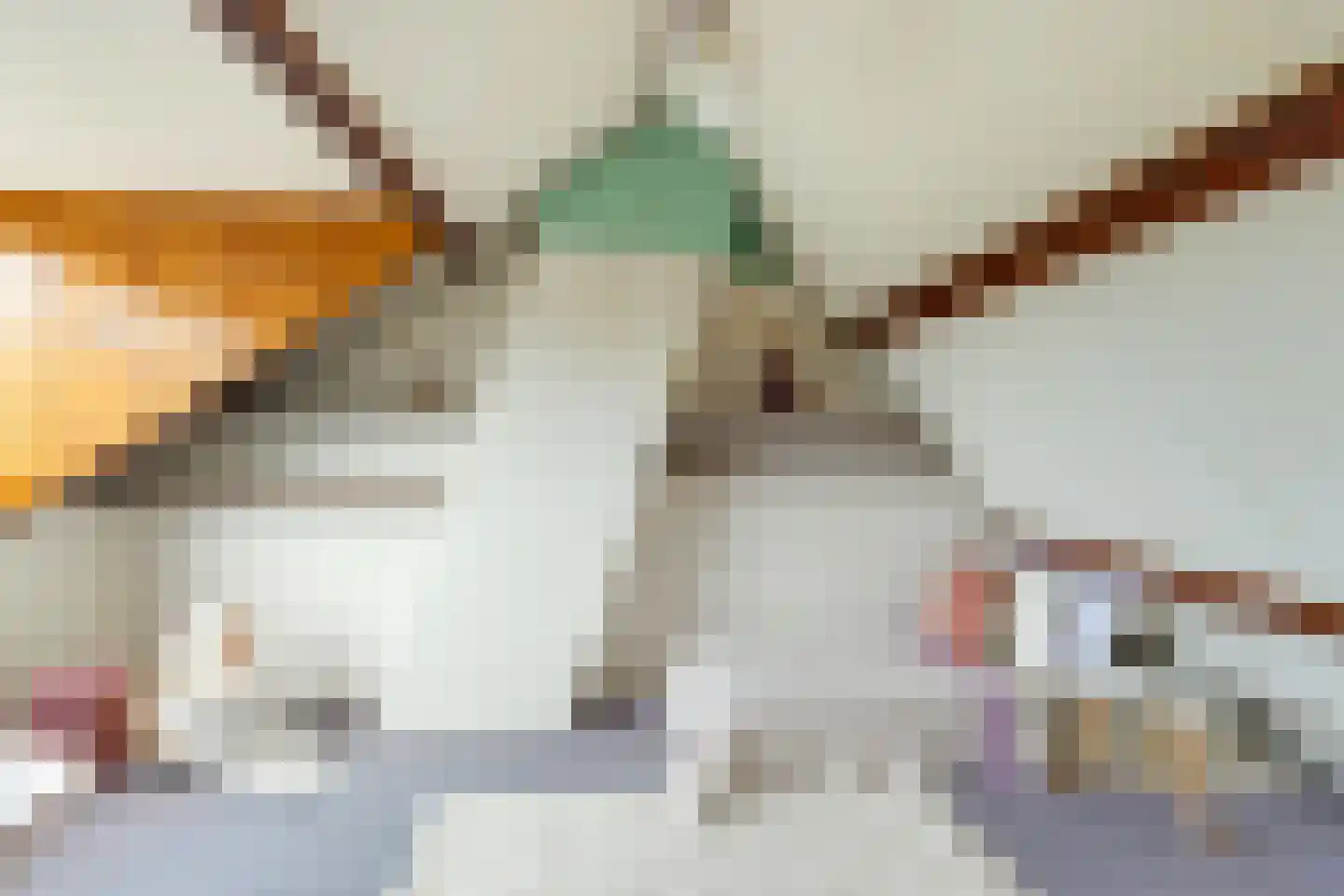 Van der Lijnstraat 3 Alkmaar thumbnail 38