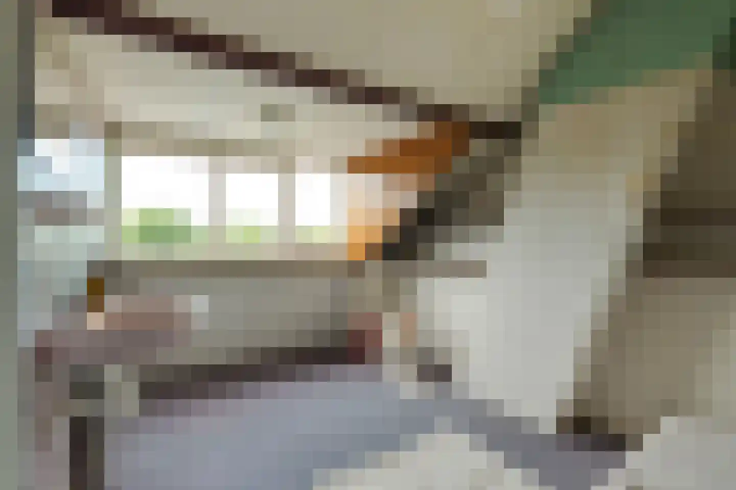 Van der Lijnstraat 3 Alkmaar thumbnail 39