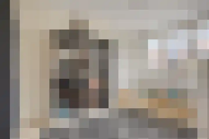 Van der Lijnstraat 31 Alkmaar thumbnail 32