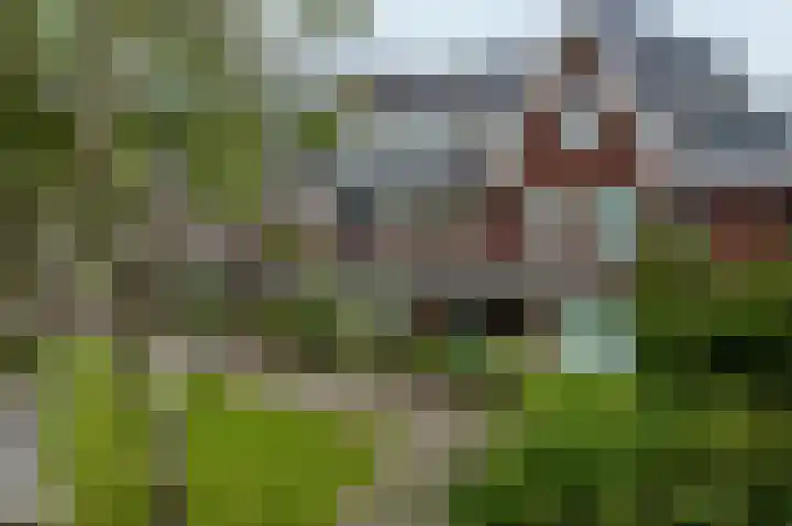 Van der Lijnstraat 31 Alkmaar thumbnail 42
