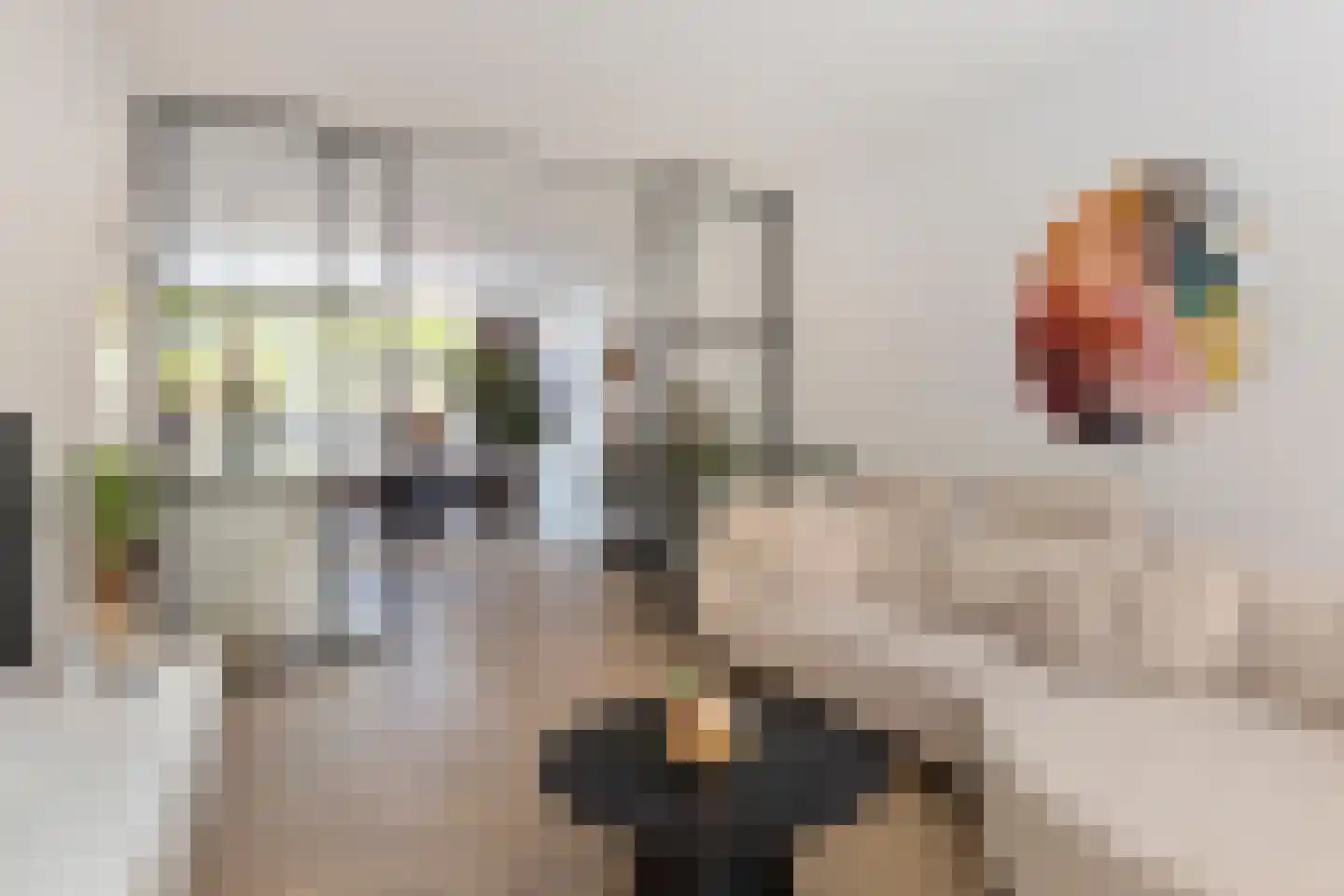Van der Lijnstraat 34 Alkmaar thumbnail 10