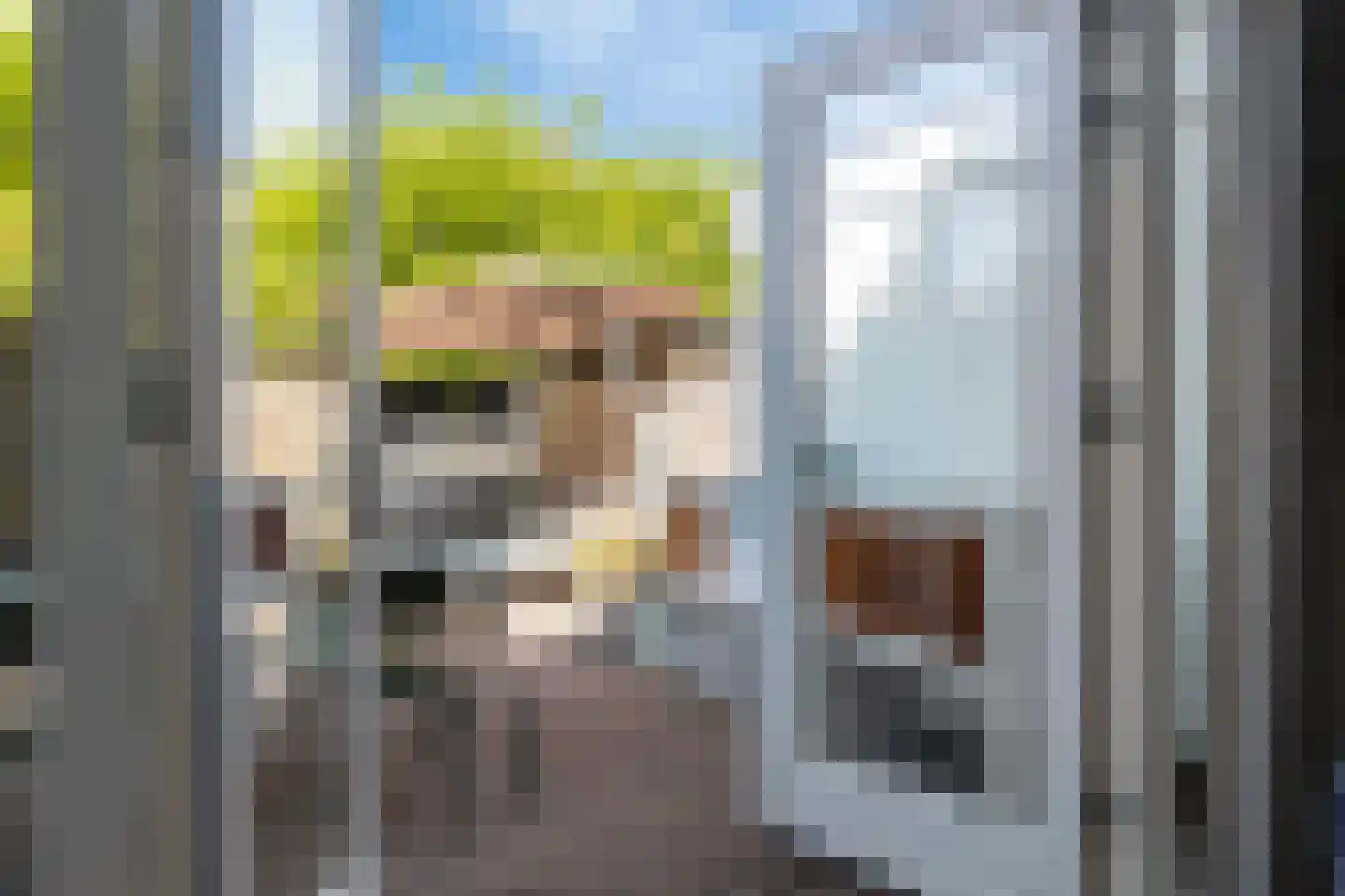 Van der Lijnstraat 34 Alkmaar thumbnail 33