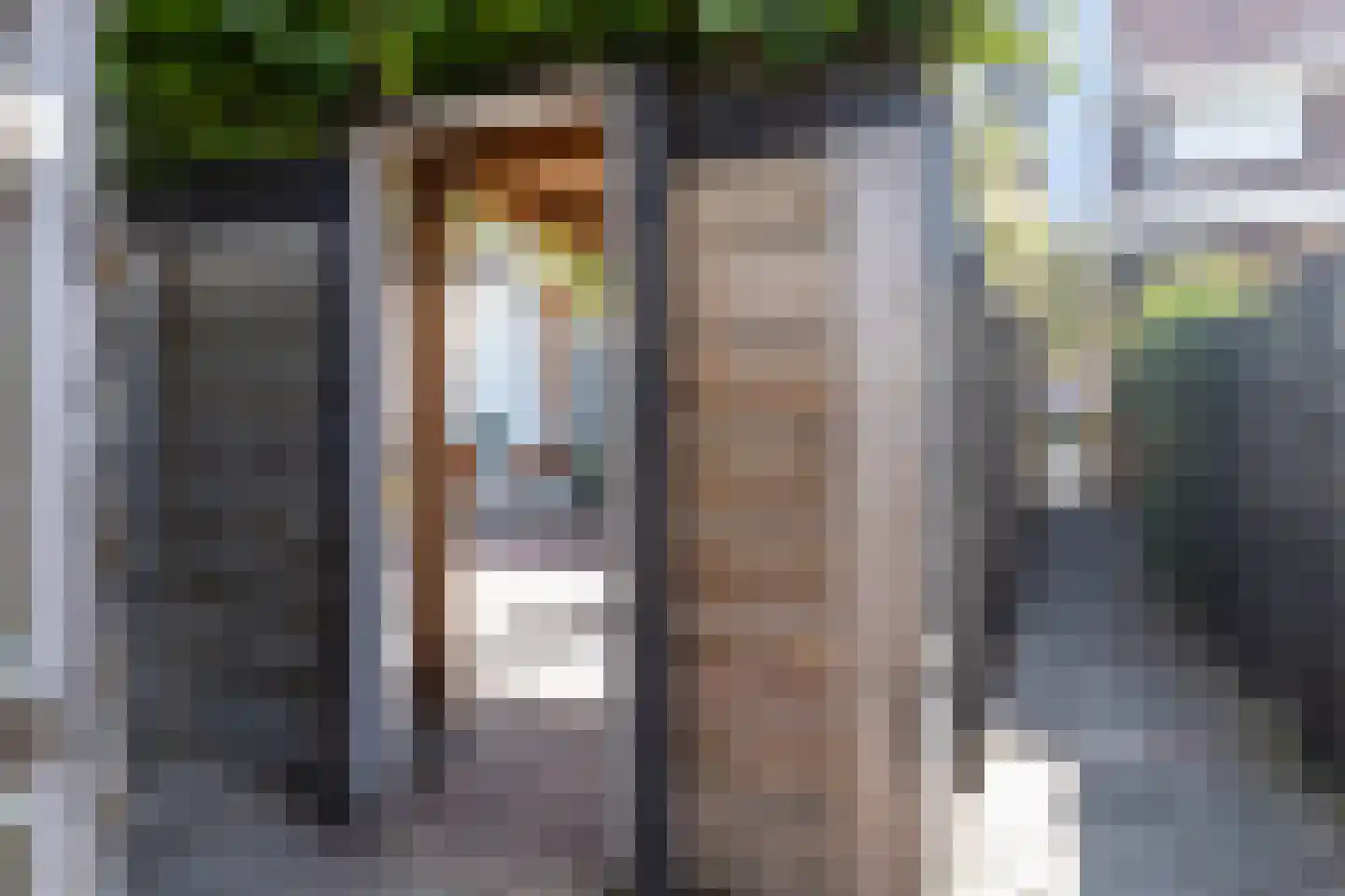 Van der Lijnstraat 34 Alkmaar thumbnail 37