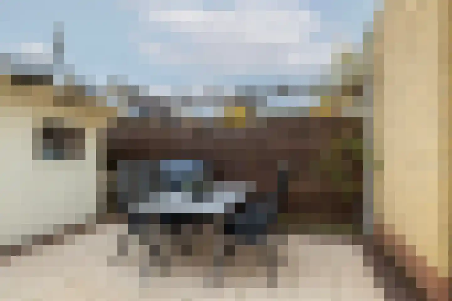 Van der Linden-akker 1 Barendrecht thumbnail 35