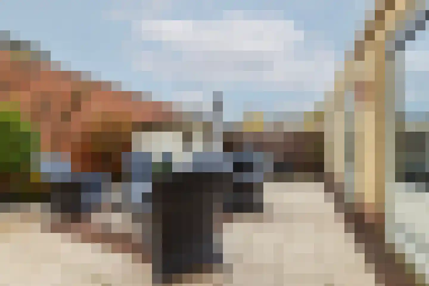Van der Linden-akker 1 Barendrecht thumbnail 5