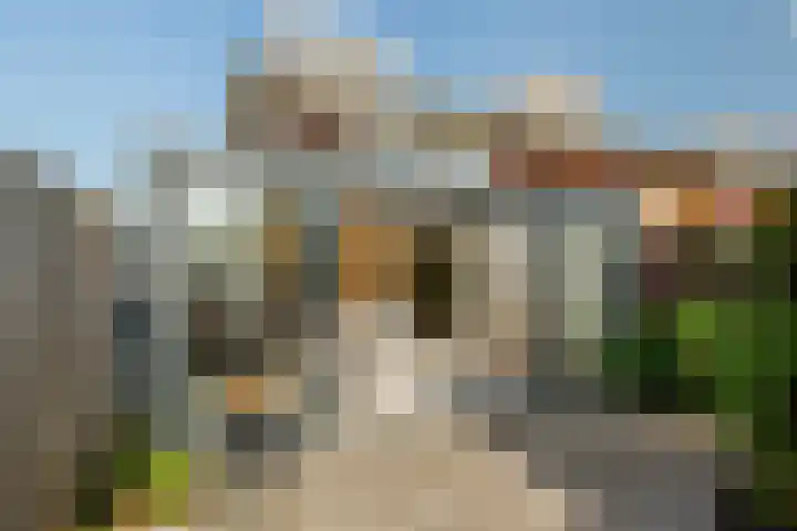 Van der Linden-akker 24 Barendrecht thumbnail 5