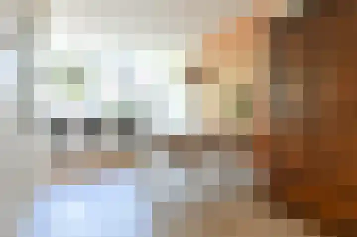 Office photo of Van der Linden Makelaardij