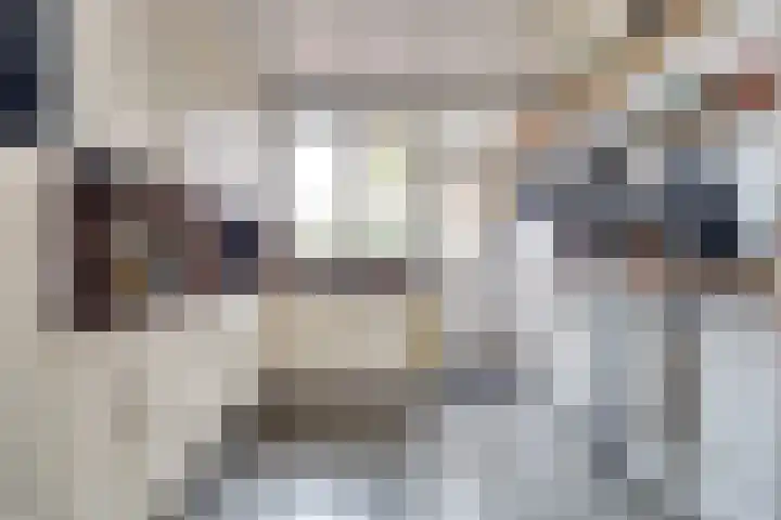 Van der Lindenstraat 11 Diessen thumbnail 12