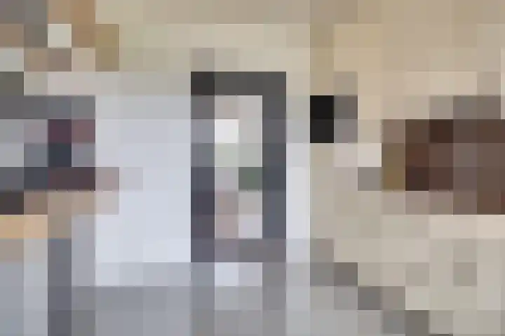 Van der Lindenstraat 11 Diessen thumbnail 13