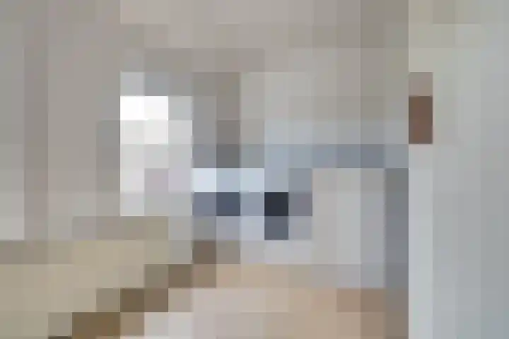 Van der Lindenstraat 11 Diessen thumbnail 20