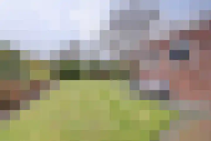 Van der Lindenstraat 11 Diessen thumbnail 24