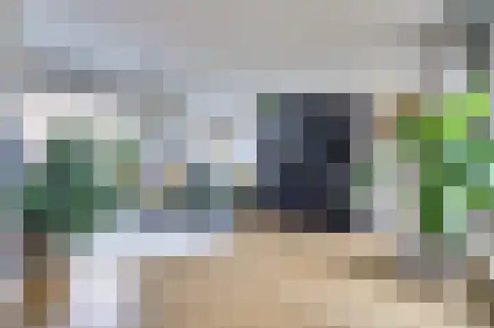 Van der Lindenstraat 11 Diessen thumbnail 8