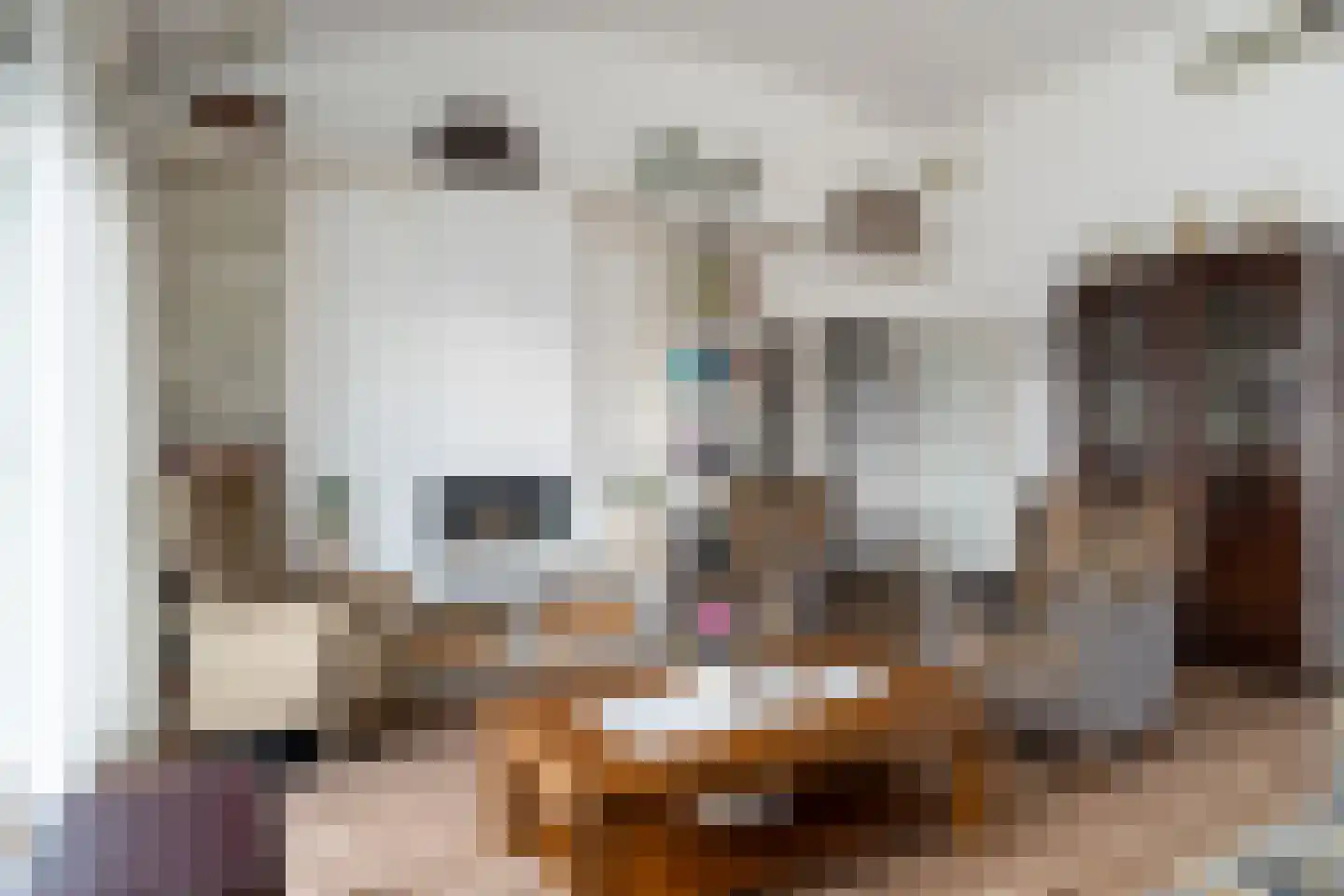 van der Loostraat 29 Veen thumbnail 10