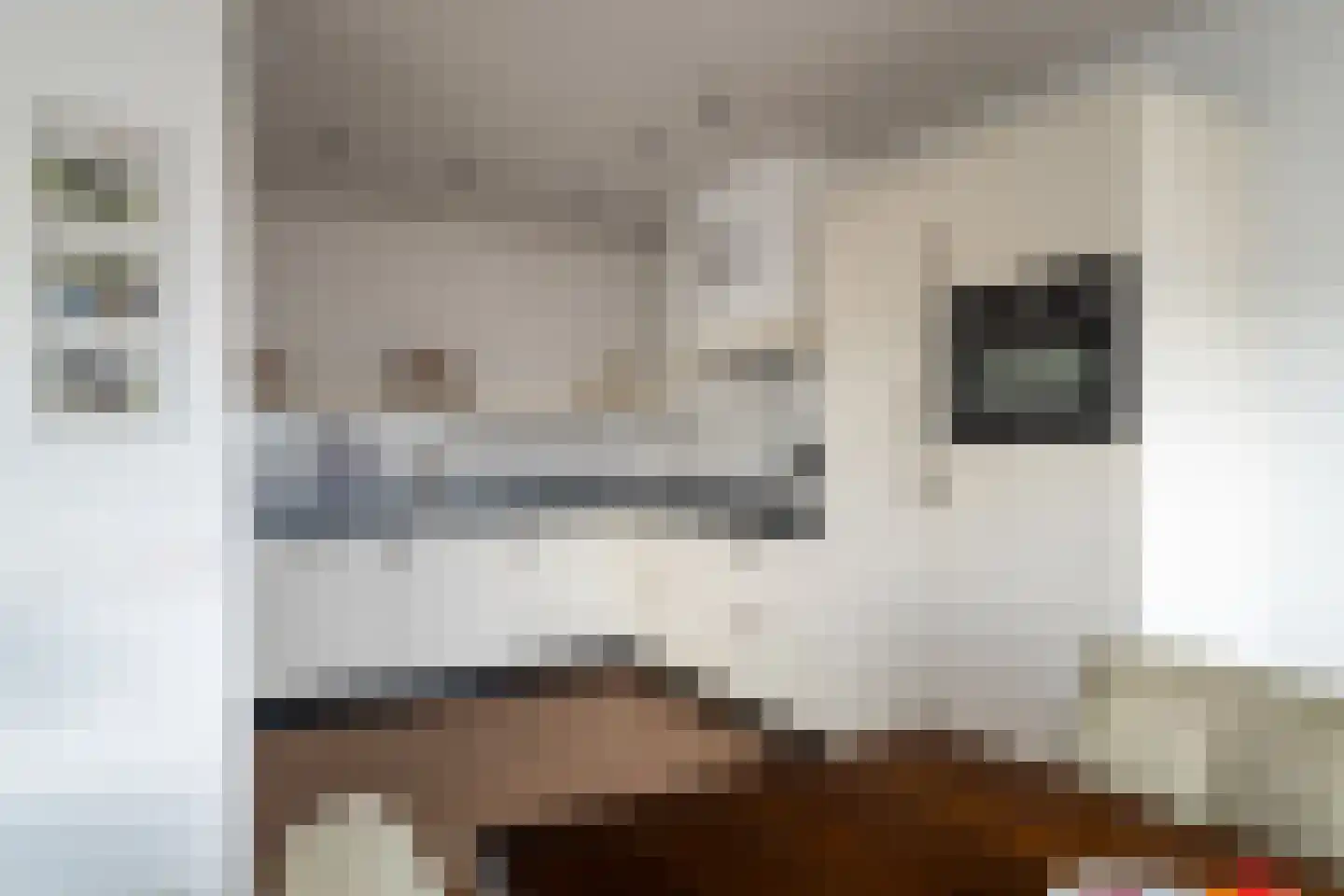 van der Loostraat 29 Veen thumbnail 14