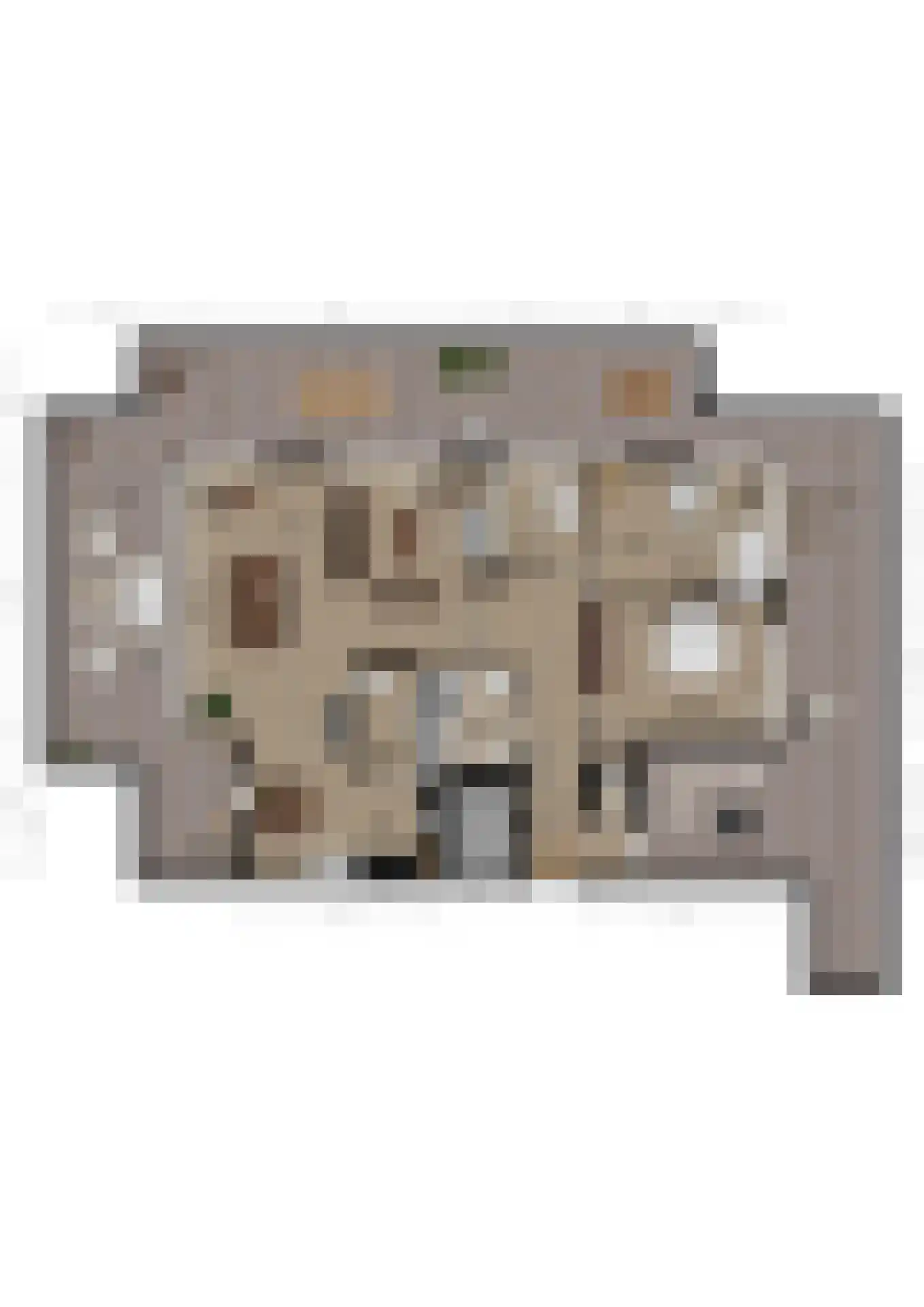 van der Loostraat 29 Veen thumbnail 41