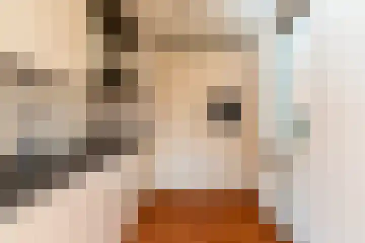 van der Loostraat 35 Veen thumbnail 10