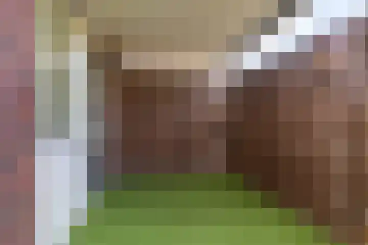 van der Loostraat 35 Veen thumbnail 22