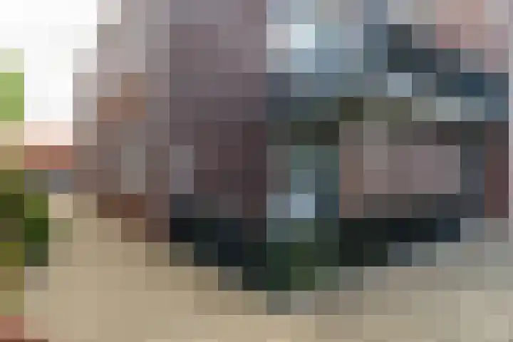 van der Loostraat 35 Veen thumbnail 23