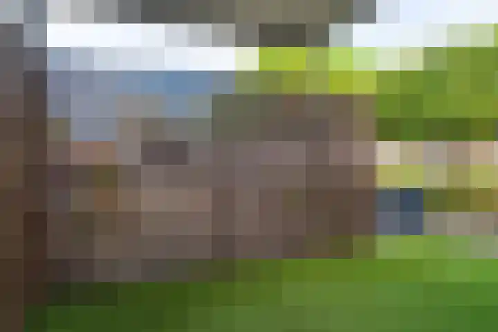 van der Loostraat 35 Veen thumbnail 24