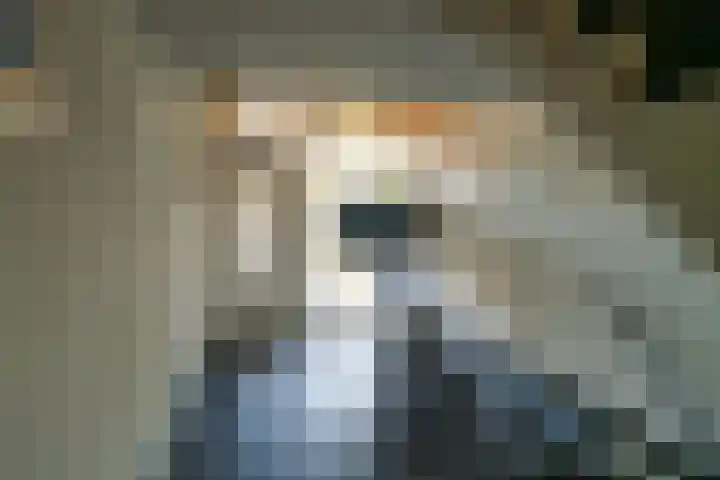 van der Loostraat 35 Veen thumbnail 5