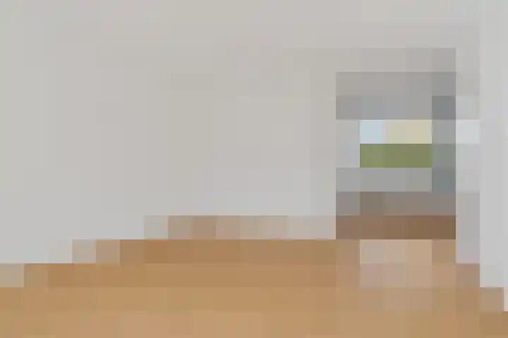 van der Looswei 26 Blauwhuis thumbnail 10