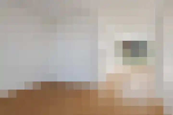 van der Looswei 26 Blauwhuis thumbnail 12